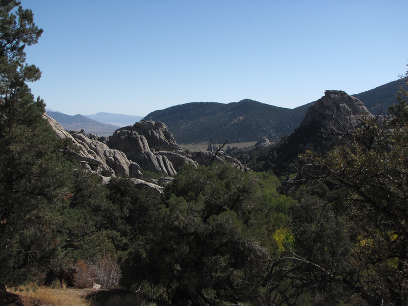 Long view