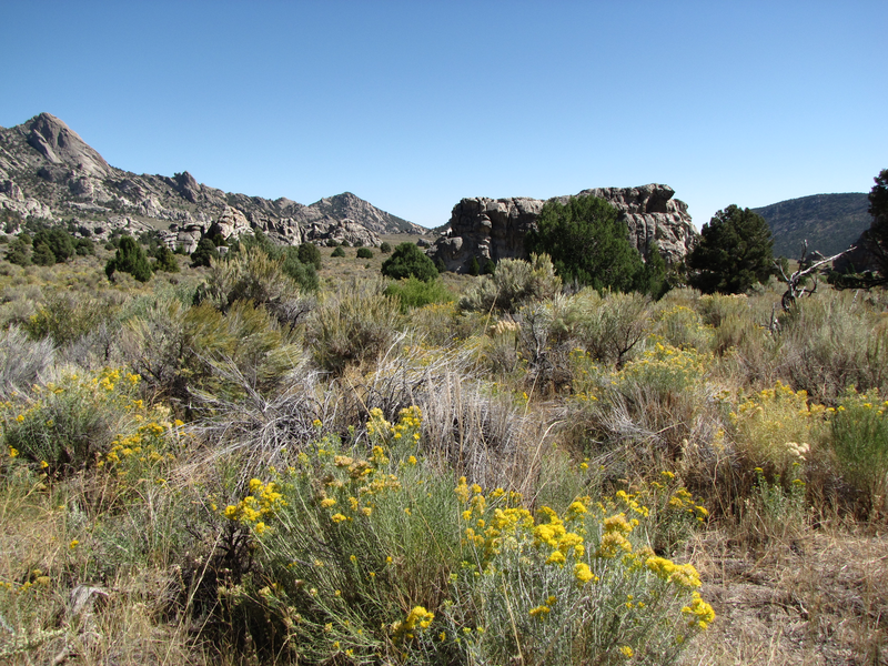 Long view of the valley