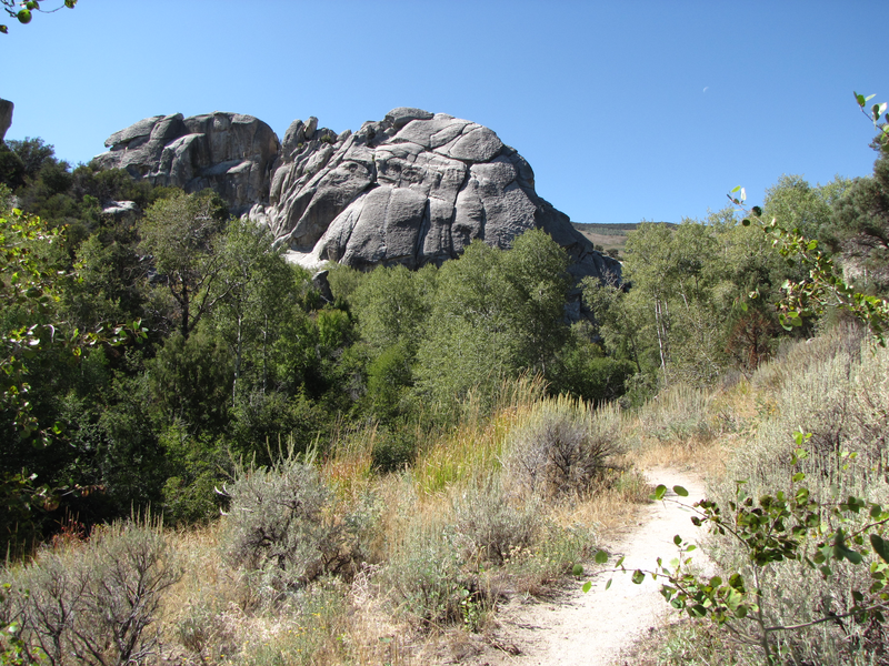 Trail across a clearing