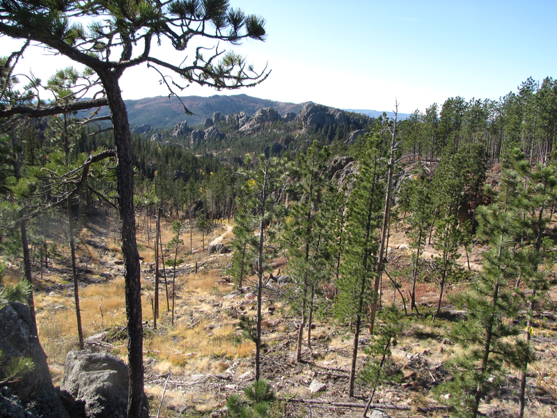 Halfway to the ridge