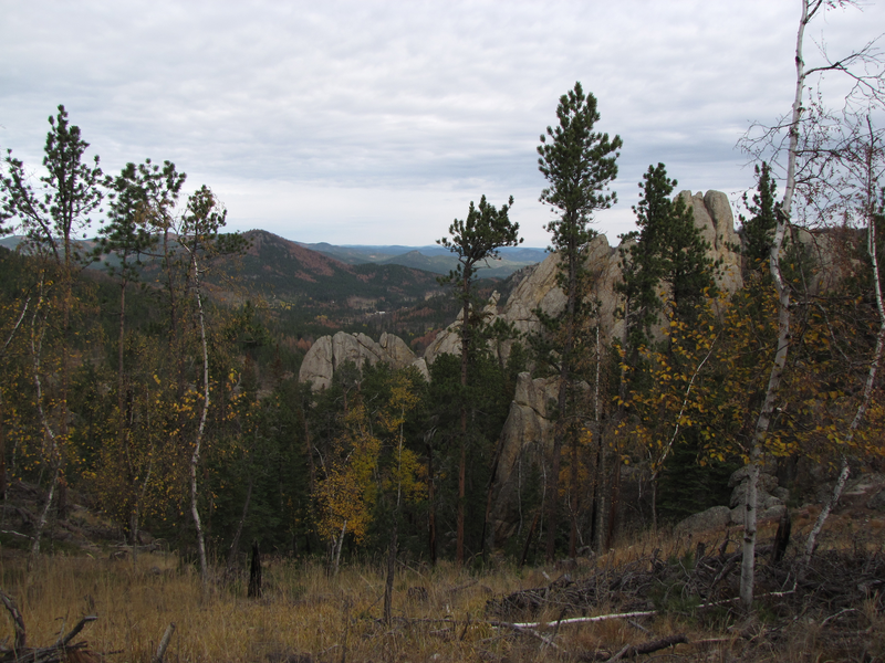 Looking towards the bottom of the trail