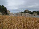Sylvan Lake from the reeds