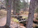Following the stream