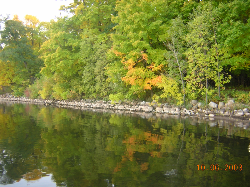 Green reflections