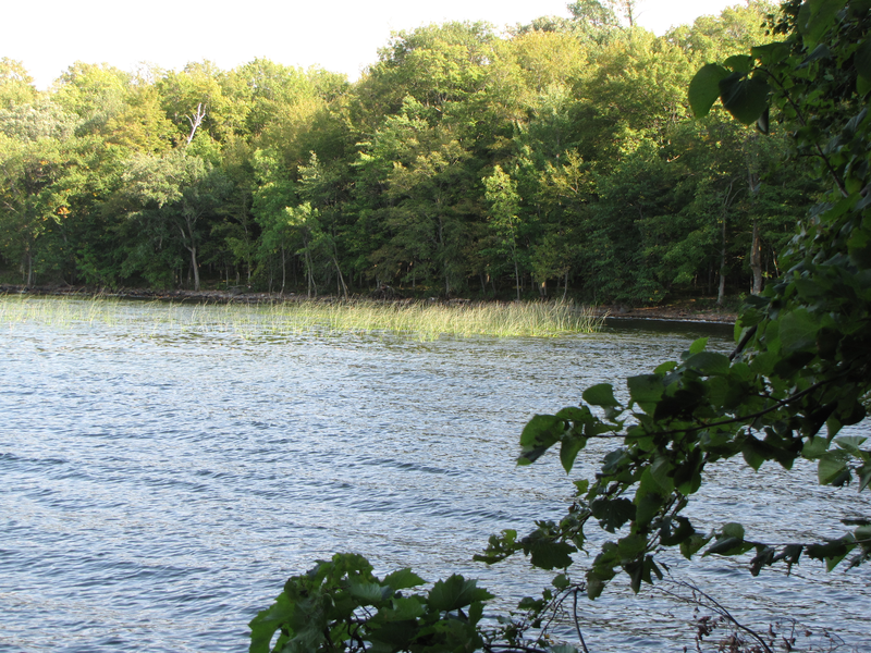 View from the trail