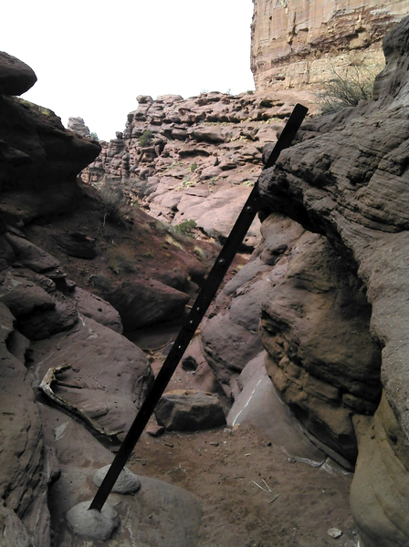 Ladder