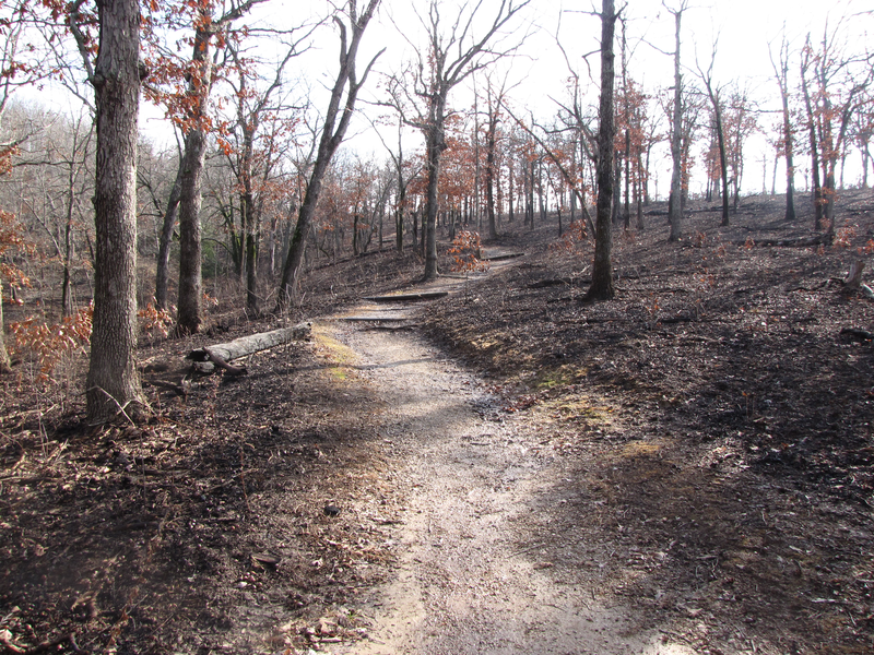 Trail heading up the hill