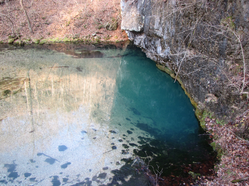 Beautiful spring water colors