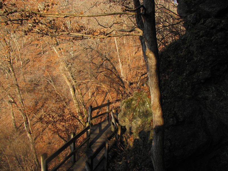 Boardwalk along cliff