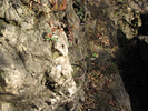 Handholds