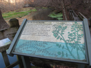 Ha Ha Tonka Spring sign