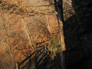Boardwalk along cliff