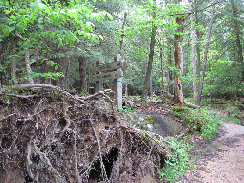 Go right and descend along the Gorge trail