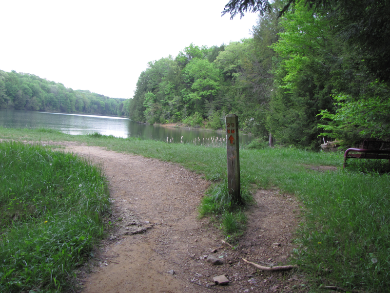 Cross the dam