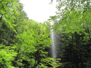 Free waterfall