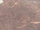 Petroglyph