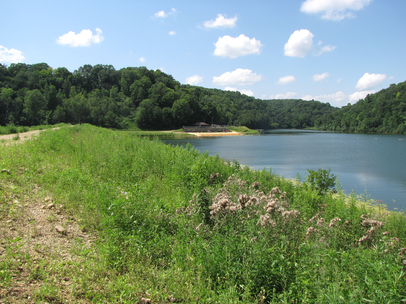 Beach from the dam