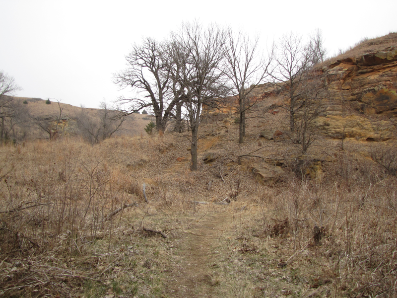 Trail up the bluff to 11