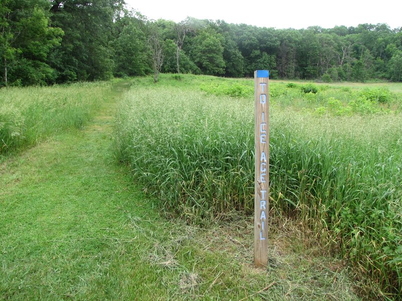 Ice Age trail sign and view of trail