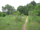 Trail crossing an opening