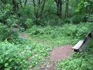 Bench at Stone Elephant