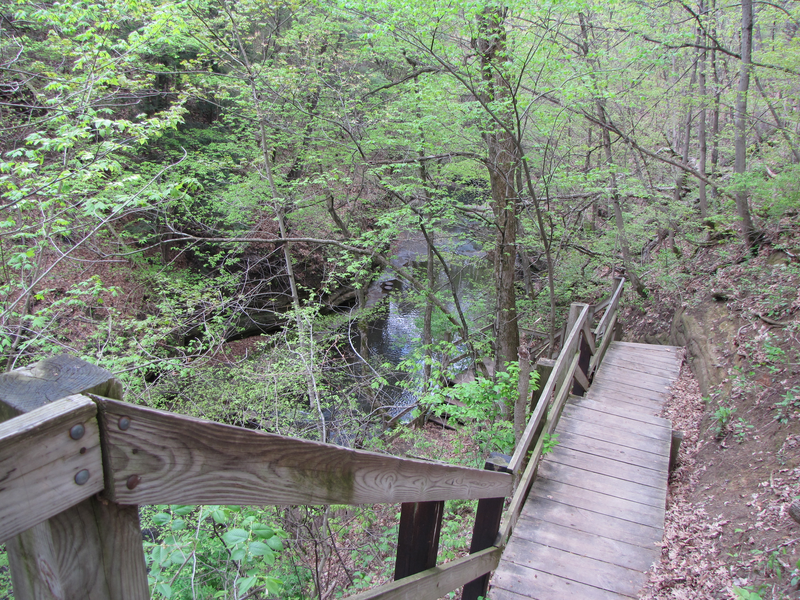 Descending into the gorge