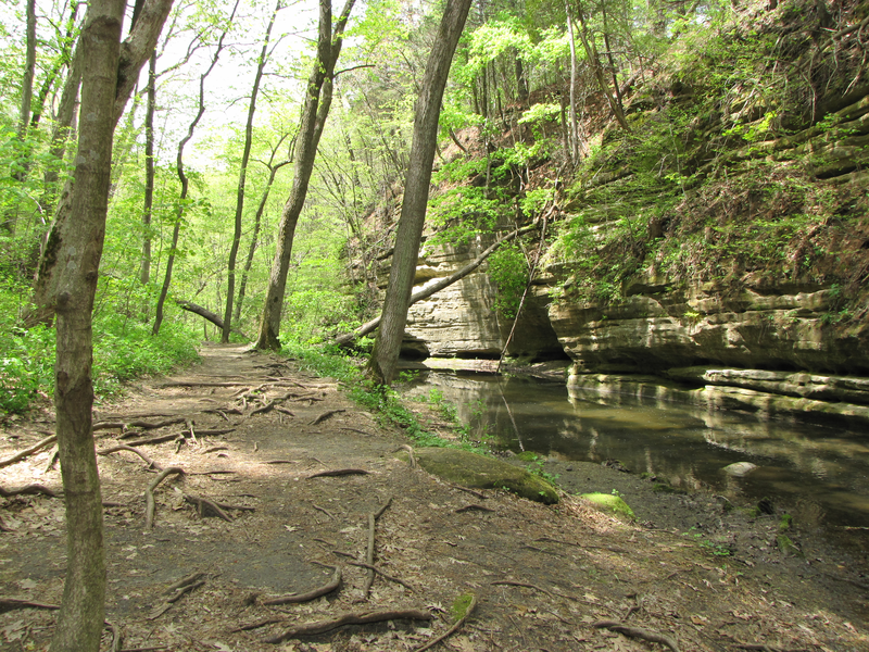 Path through the gorge