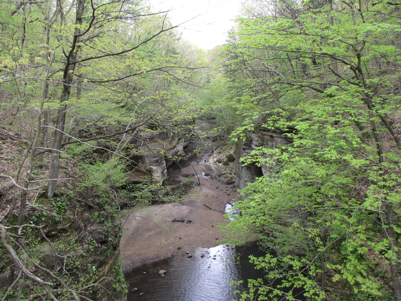 Looking into the gorge from the bridge