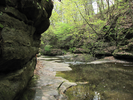 On the path in the gorge