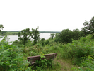 Bench overlooking flooded swamp