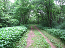 Walking along road