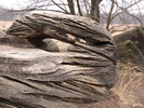 Cool carved stones