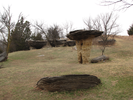 Assorted mushroom rocks