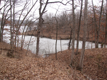 View of the trail along the lake