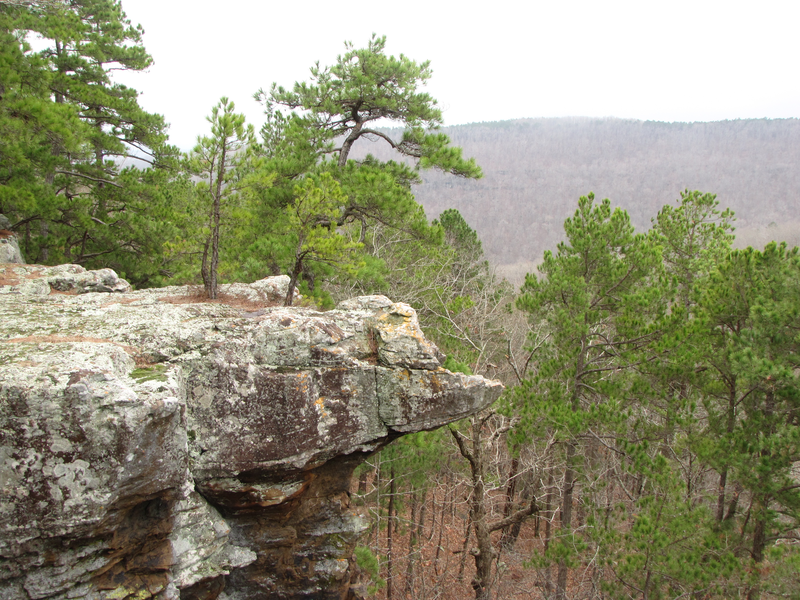 Rocks and pines