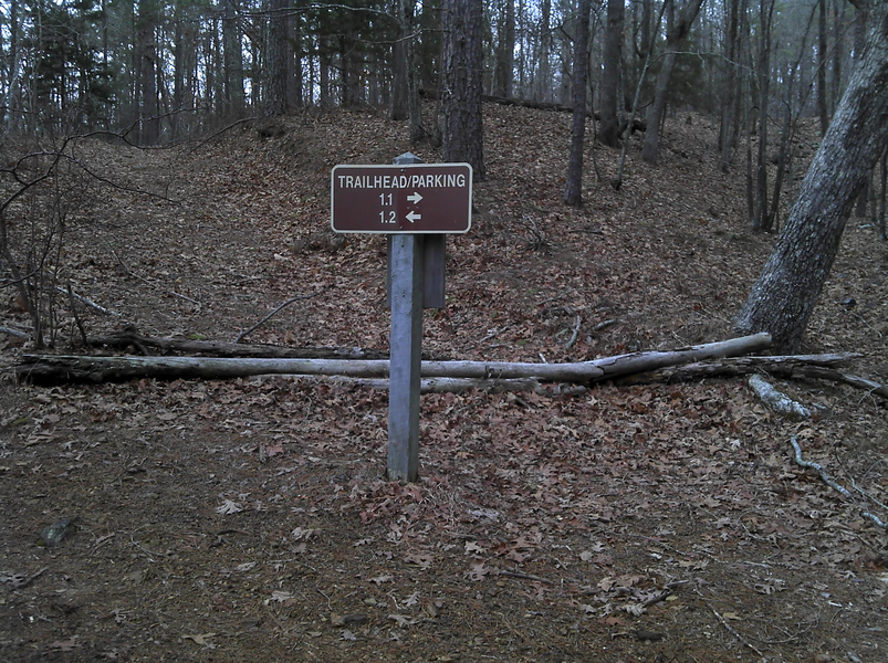 Center point of the loop