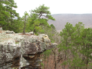 Rocks and pines
