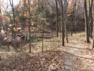 Bridge along trail