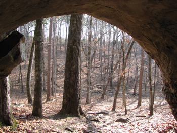 Looking out of a little cave
