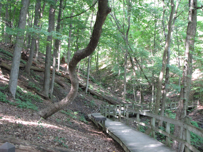 Boardwalk