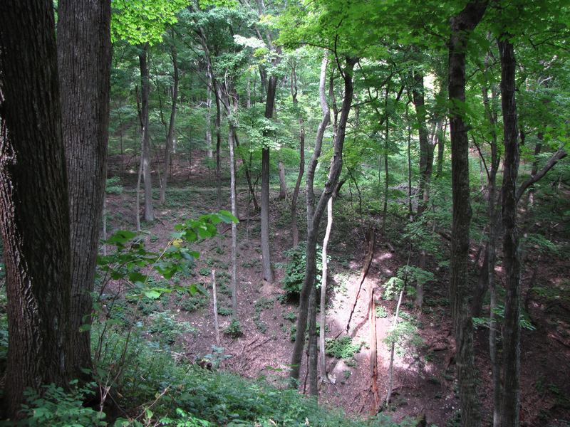 View across the ravine