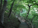 Stairs heading down to Bridal Veil Falls