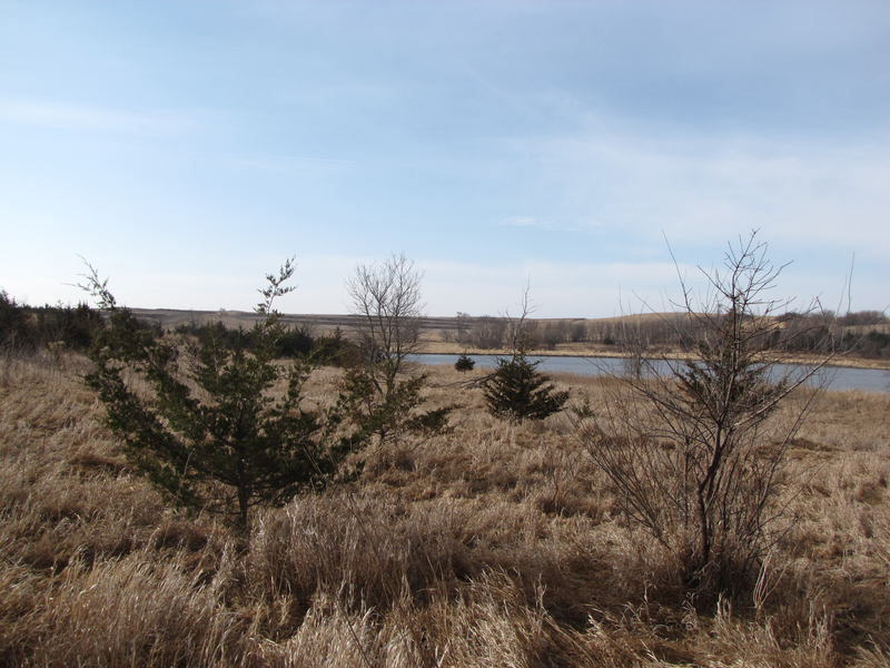 View of the pond from the trail
