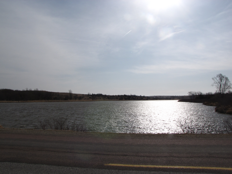 Pond from the road