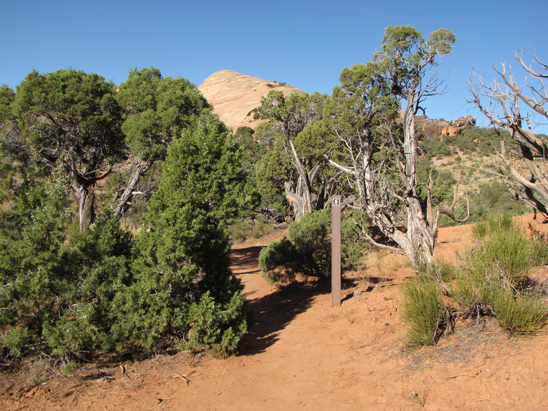 Markers along the trail