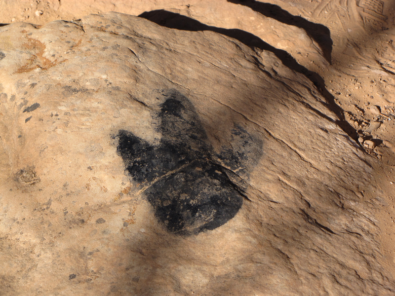 Dinosaur track blazes