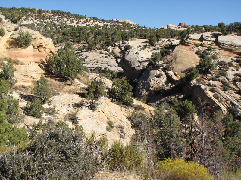 Narrow canyon beside the trail