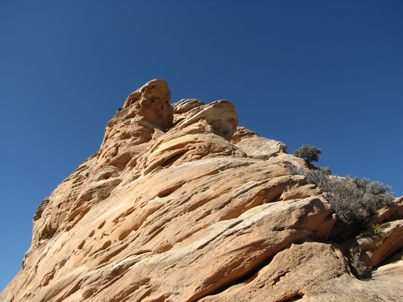 Thinking of climbing