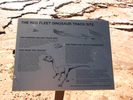 Red fleet dinosaur track sign