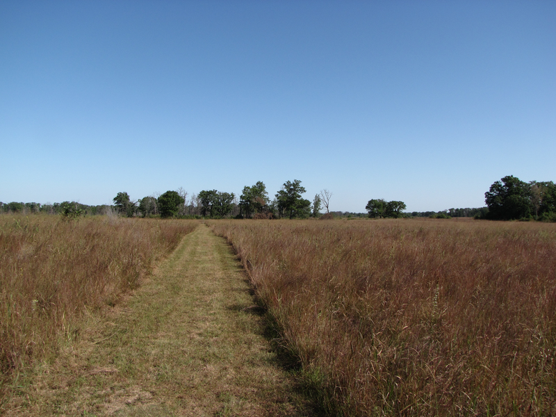 Trail crossing the prairie